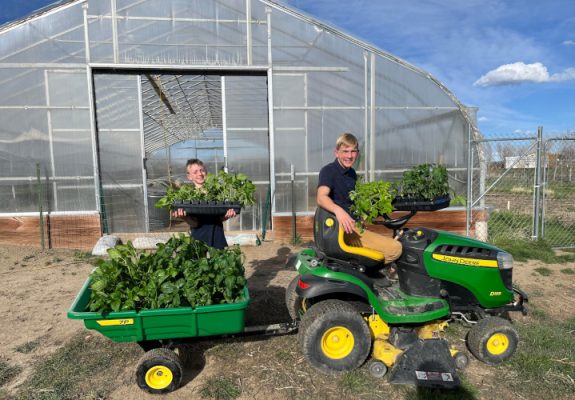 Two of the Capron family holding trays of greens in front of the Apple Bee Chicken Farm high tunnel, with a mower and a cart full of spinach